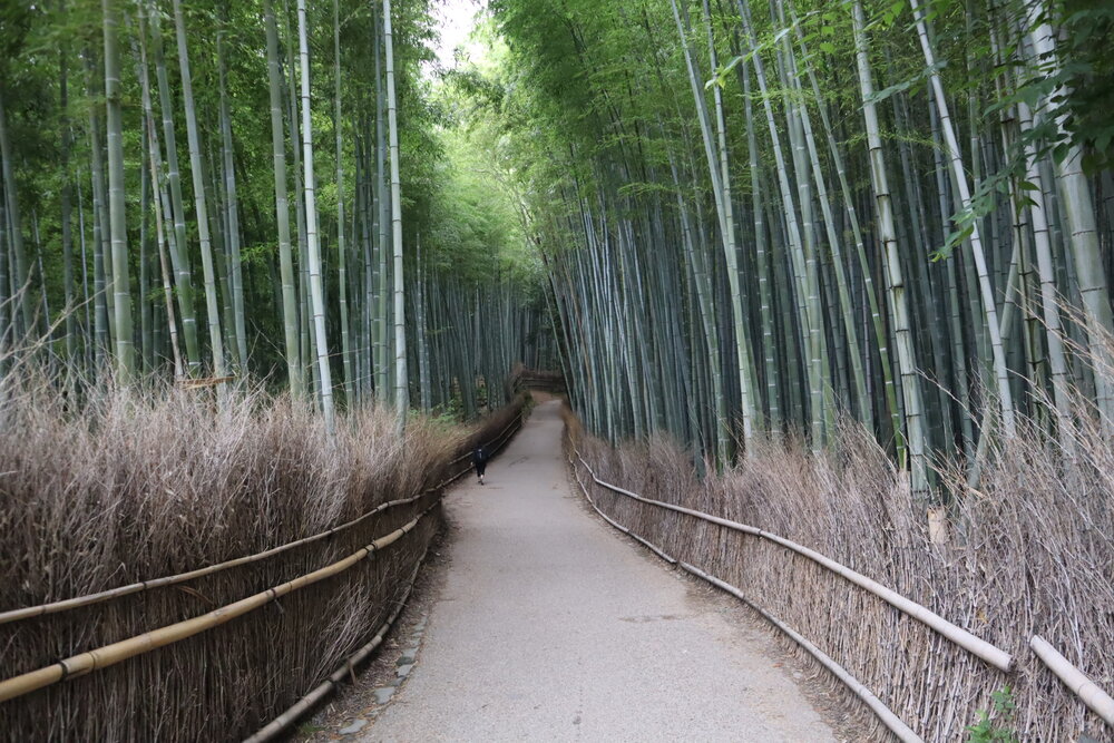 Arashiyama Bamboo Grove