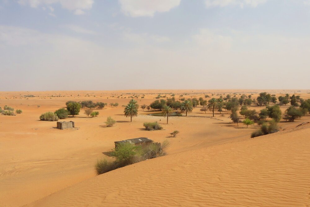 Al Maha Desert Resort Dubai – View from outdoor patio