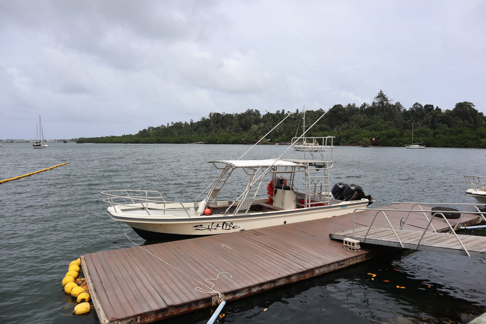 Mangrove Bay, Pohnpei