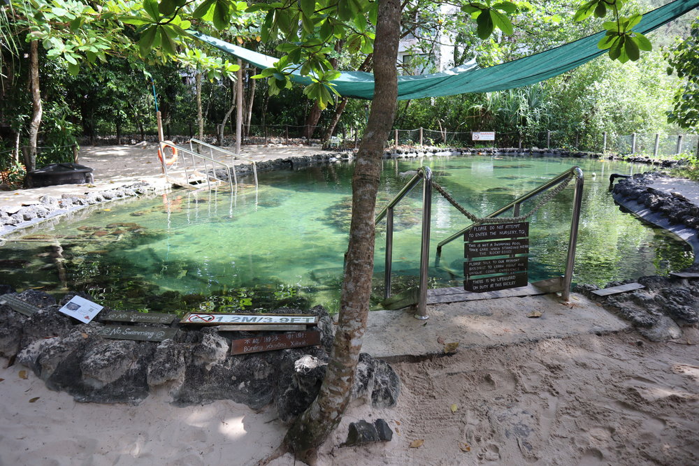 Coral nursery pond, the Andaman Langkawi