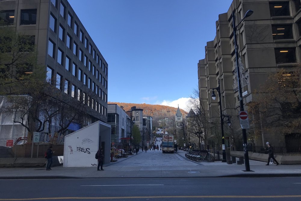 McGill University, Montreal