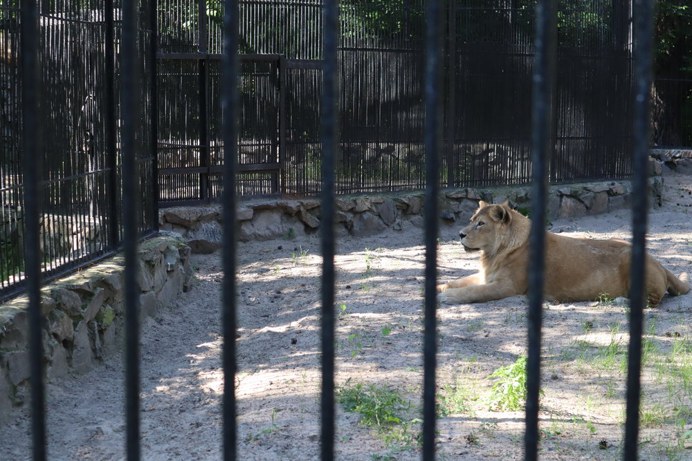 Novosibirsk Zoo