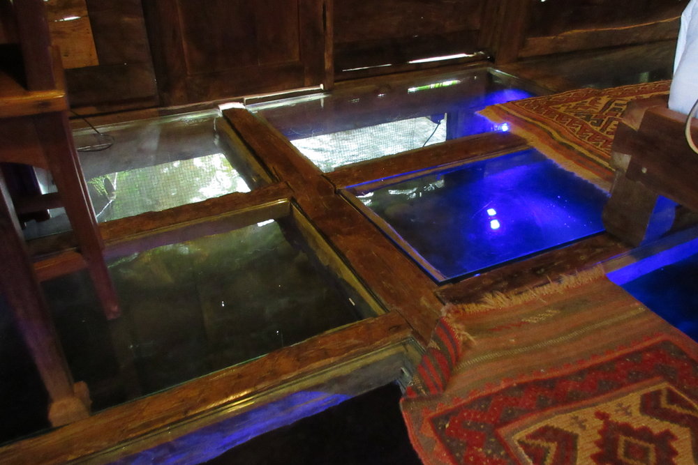 Bambu Indah Ubud – Udang House glass floor