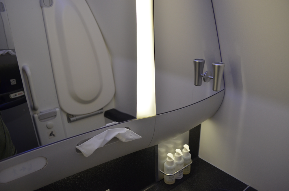 British Airways 787 business class – Restroom flower holder