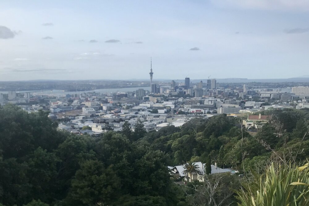 View of Auckland from Mount Eden