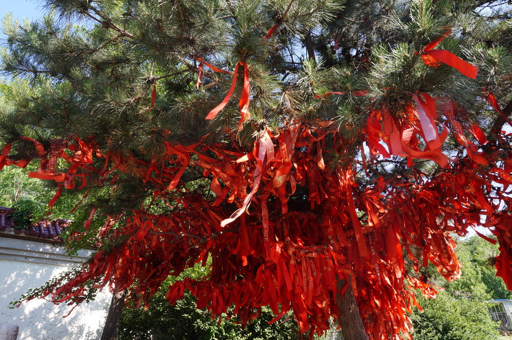 Jade Buddha Palace – Wishing Tree