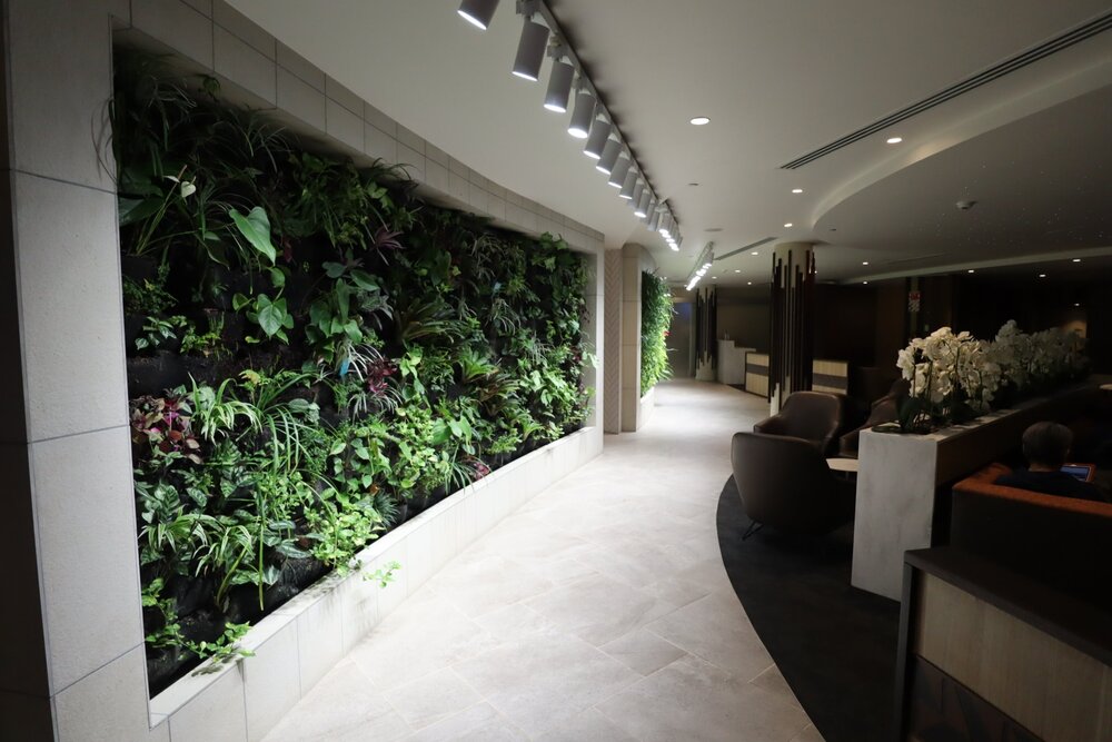 Fiji Airways Premier Lounge Nadi – Botanic wall