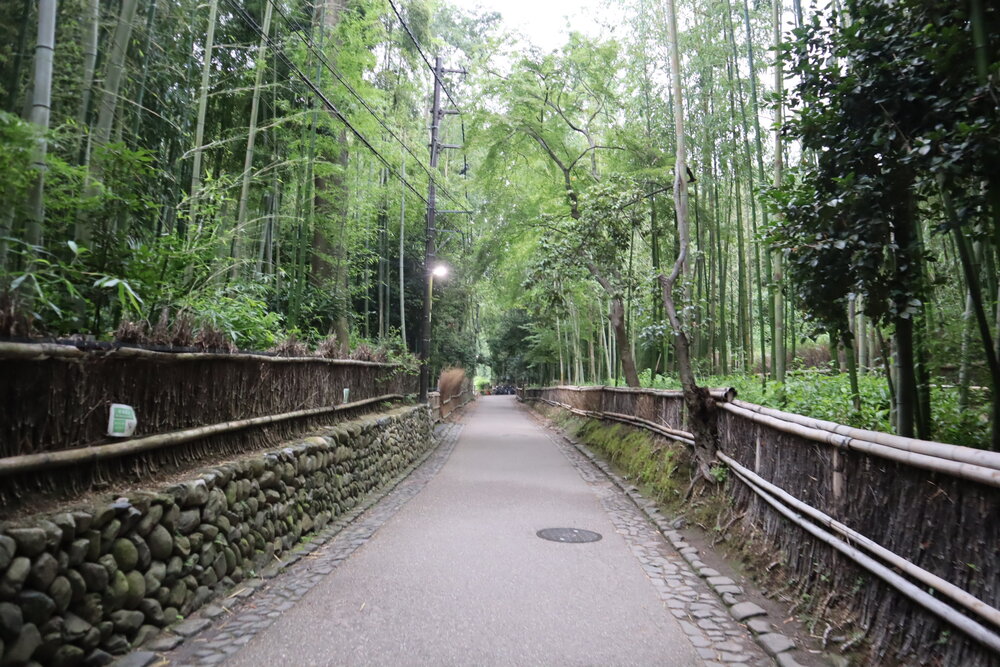 Pathway to Arashiyama Bamboo Grove