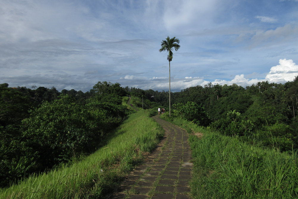 Campuhan Ridge Walk