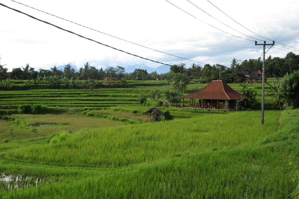 Campuhan Sacred Hills