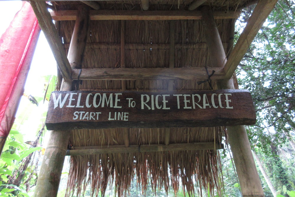 Tegagalang Rice Terrace – Entrance