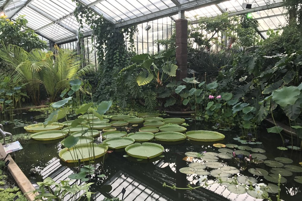 Kew Gardens – Princess of Wales Conservatory