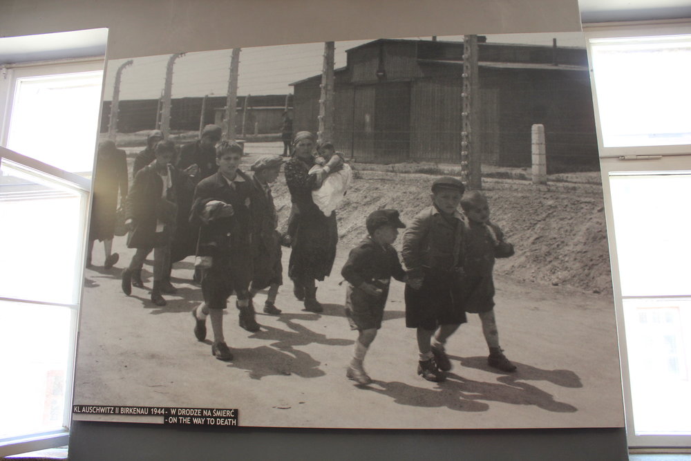 "On the Way to Death": a photograph of young Jewish boys and their families who had just arrived at Auschwitz II–Birkenau and were making the walk to the gas chambers