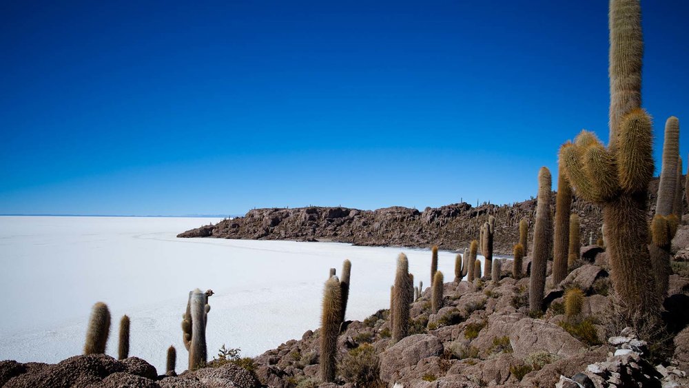 Salar de Uyuni – Isla Incahuasi