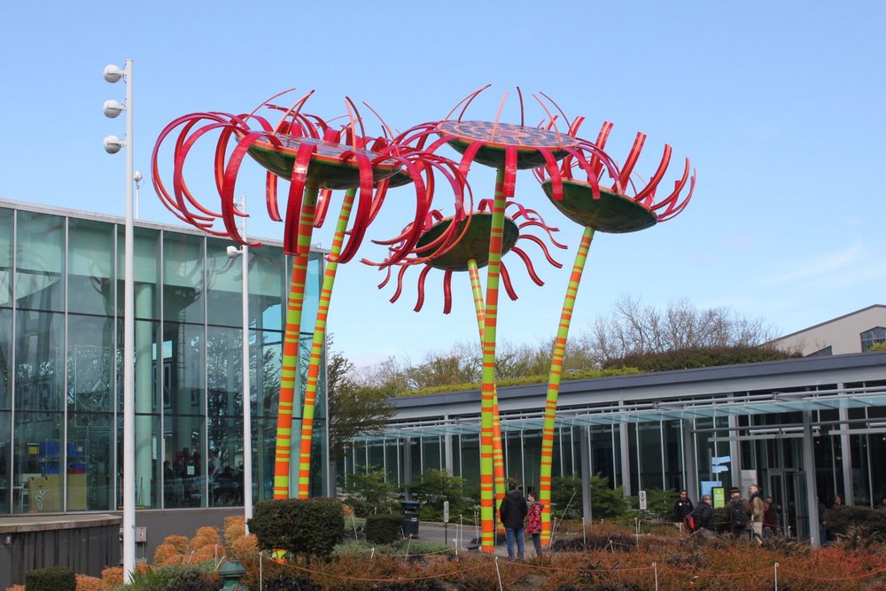 Seattle Center – Sonic Bloom