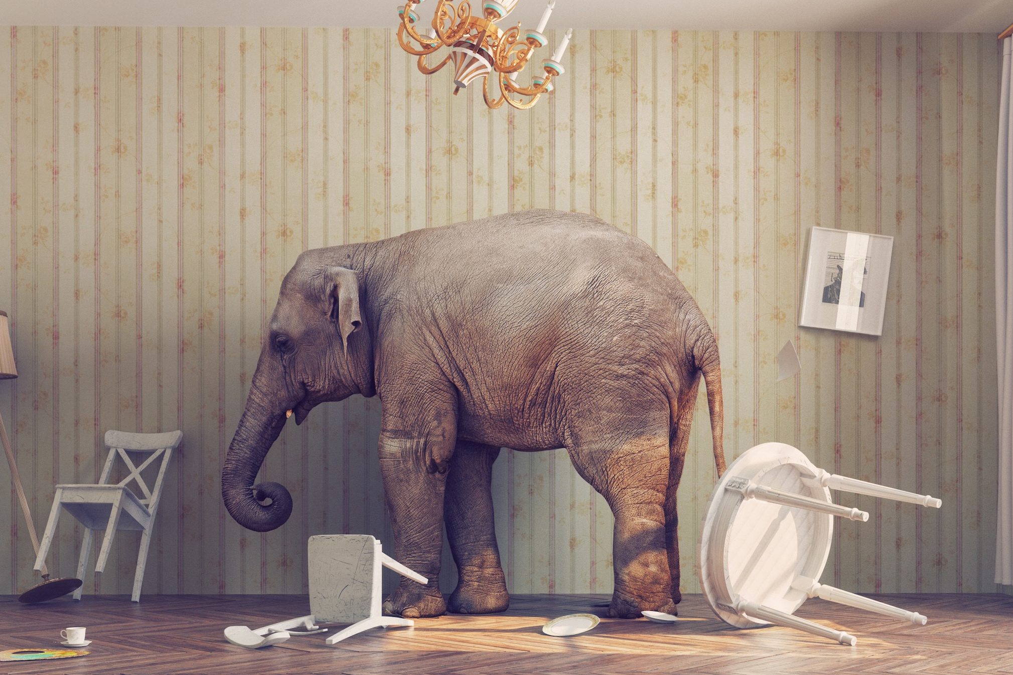 photo of large elephant in a room knocking over furniture