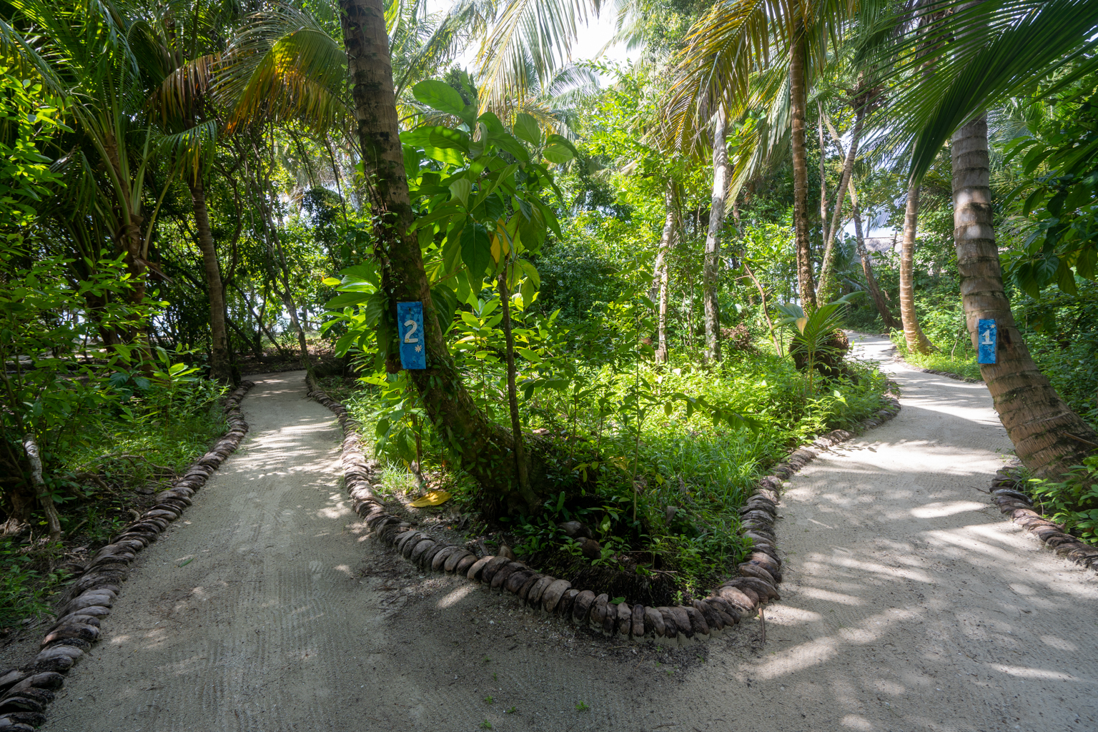 Calala Island – Pathway to Suite 2