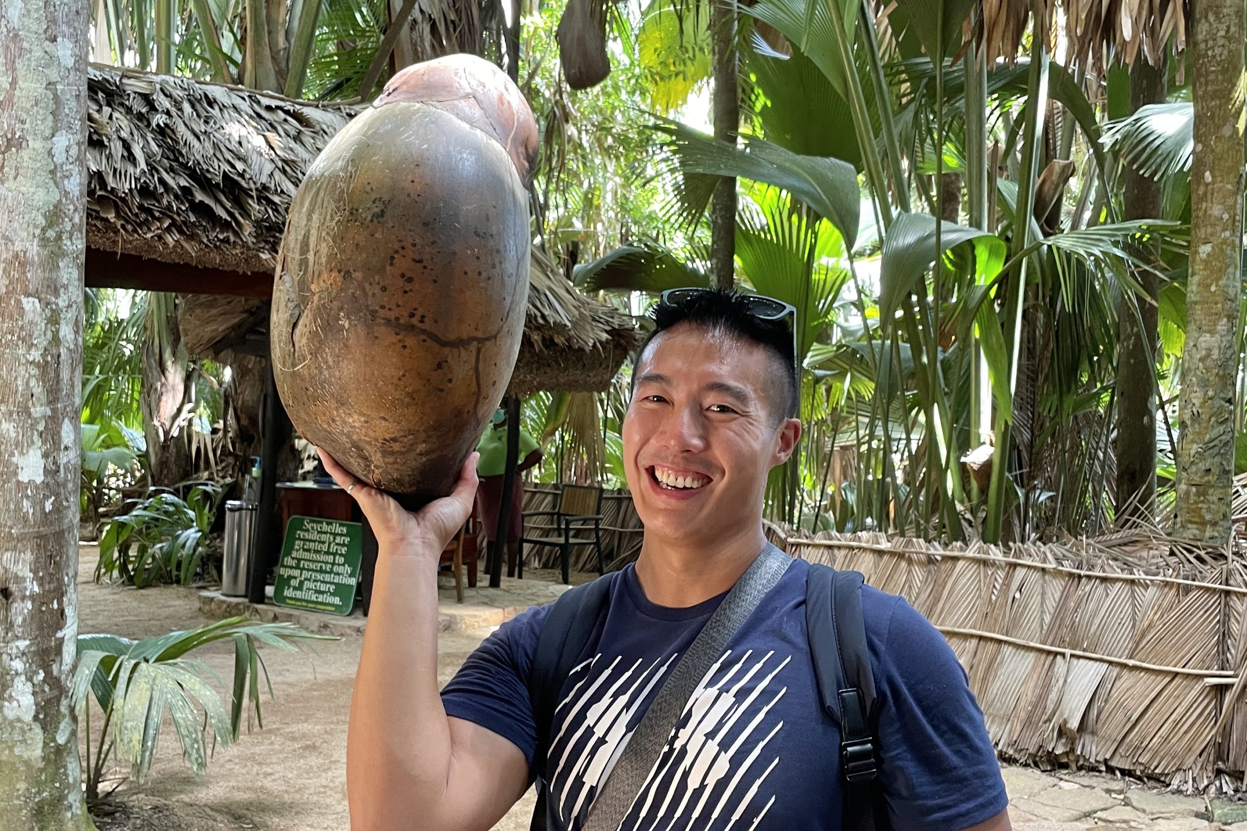 Coconuts at Vallée de Mai