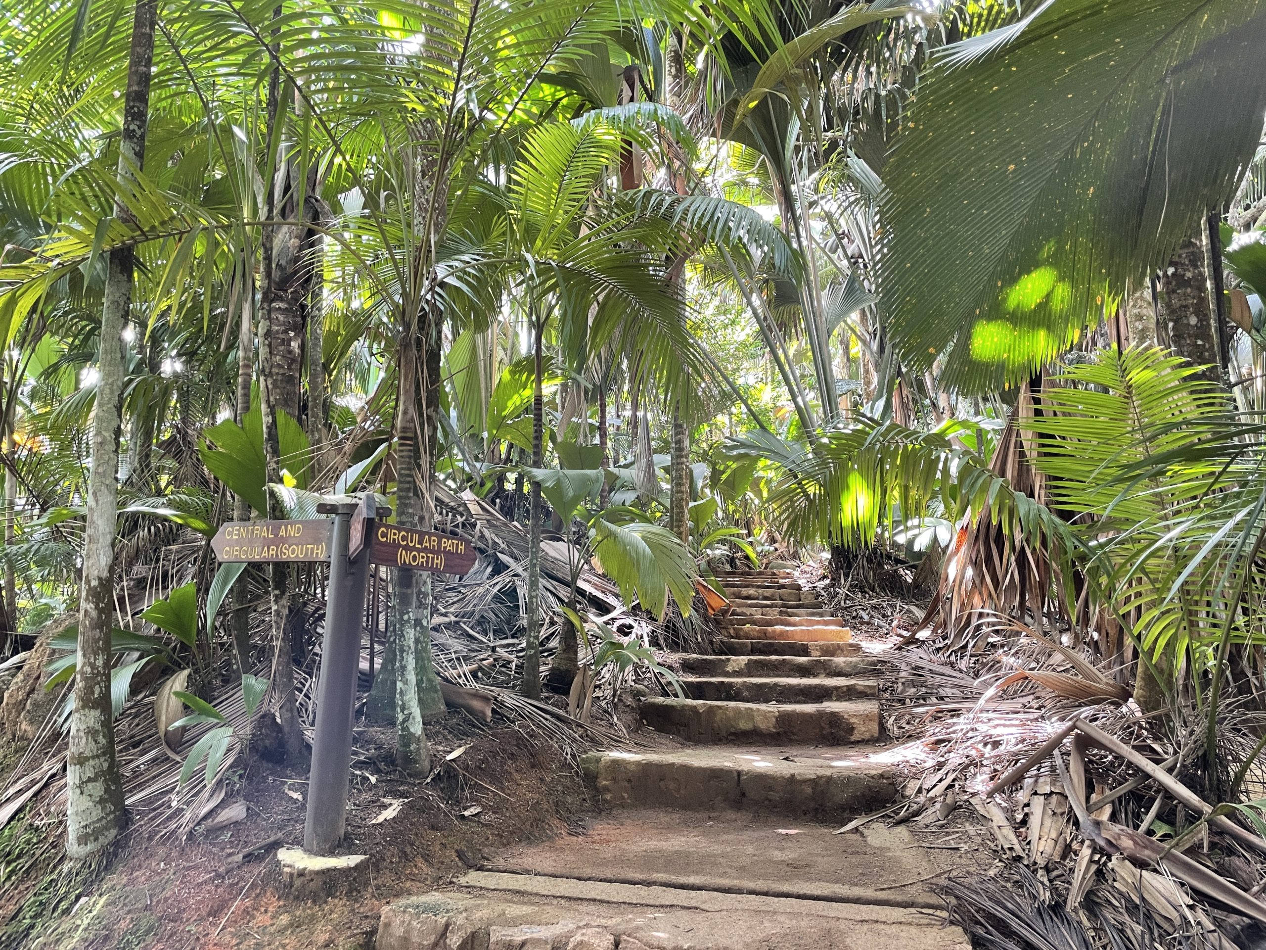 Vallée de Mai nature reserve