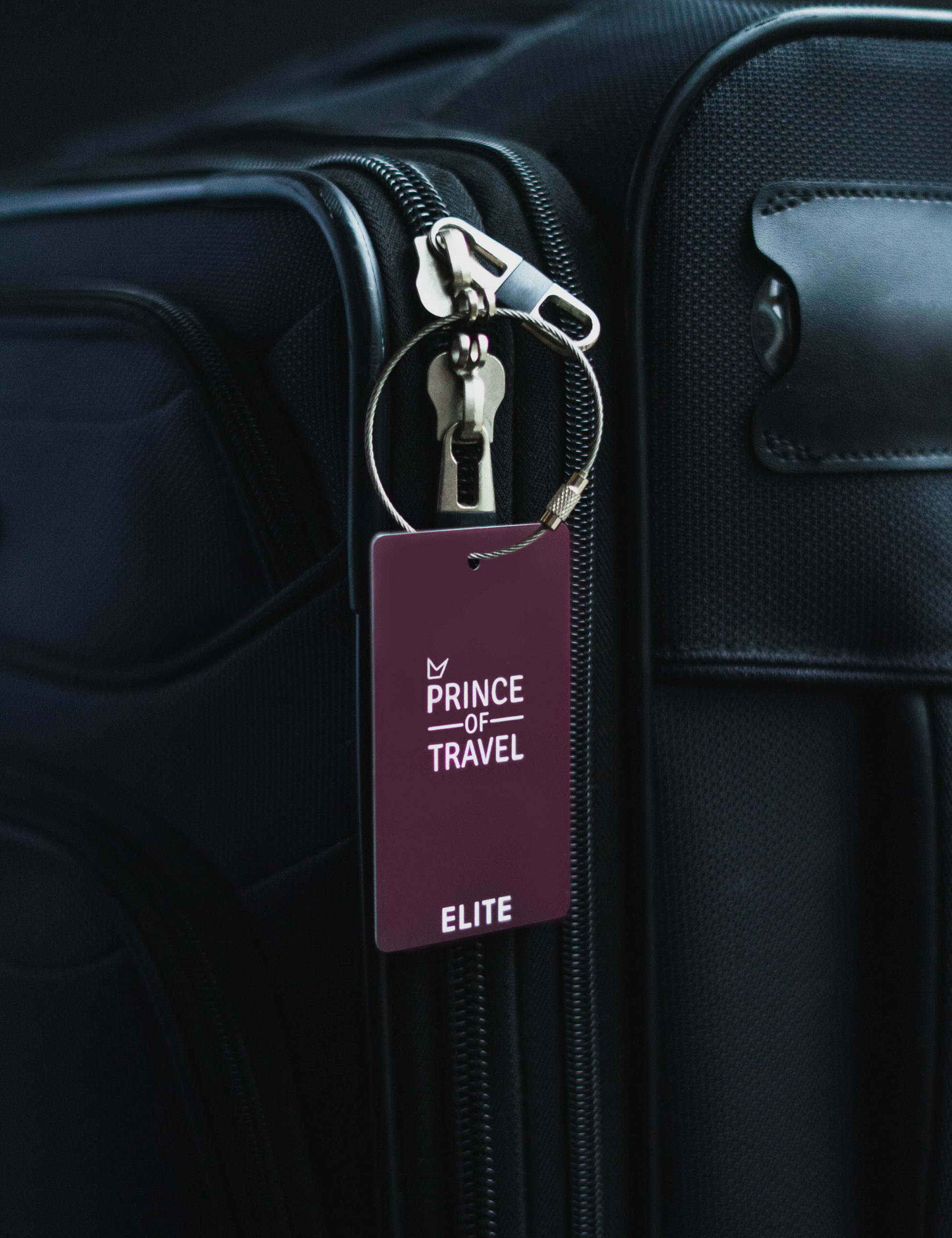 Prince of Travel Bag Tag