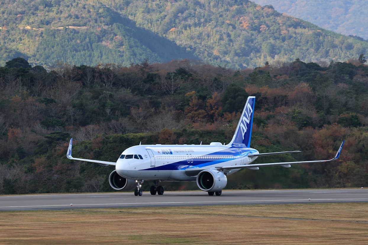All Nippon Airways Airbus A321 aircraft