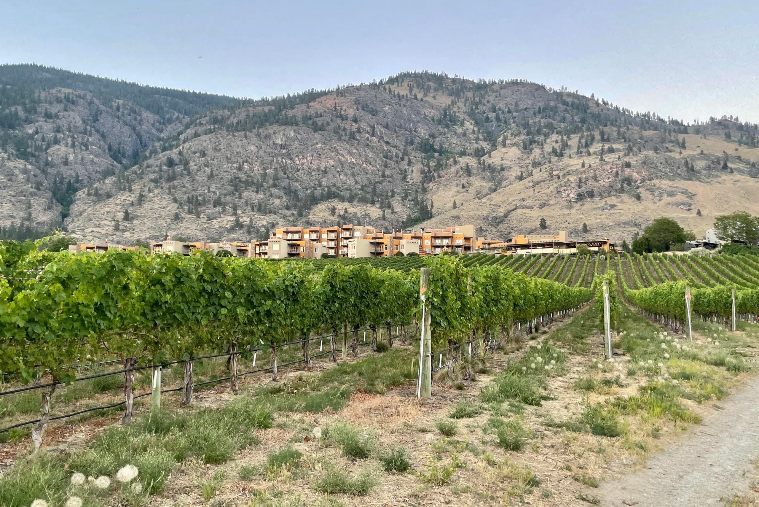 Review: Spirit Ridge Resort Osoyoos, Hyatt Unbound Collection