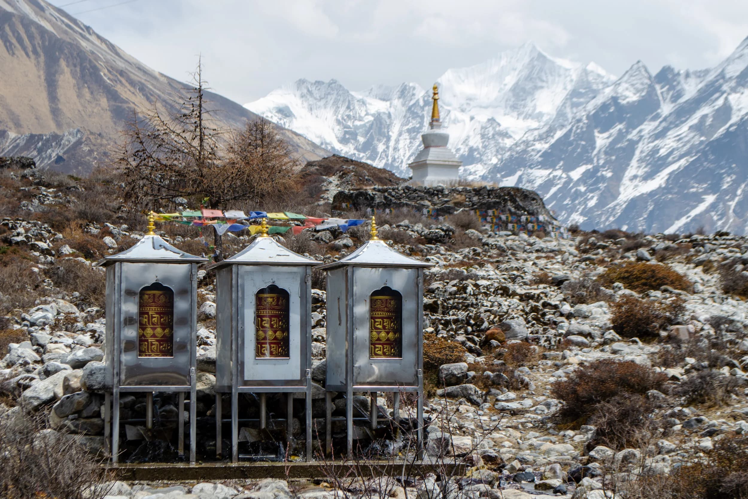 Seven Days in the Langtang: A Trek in Nepal