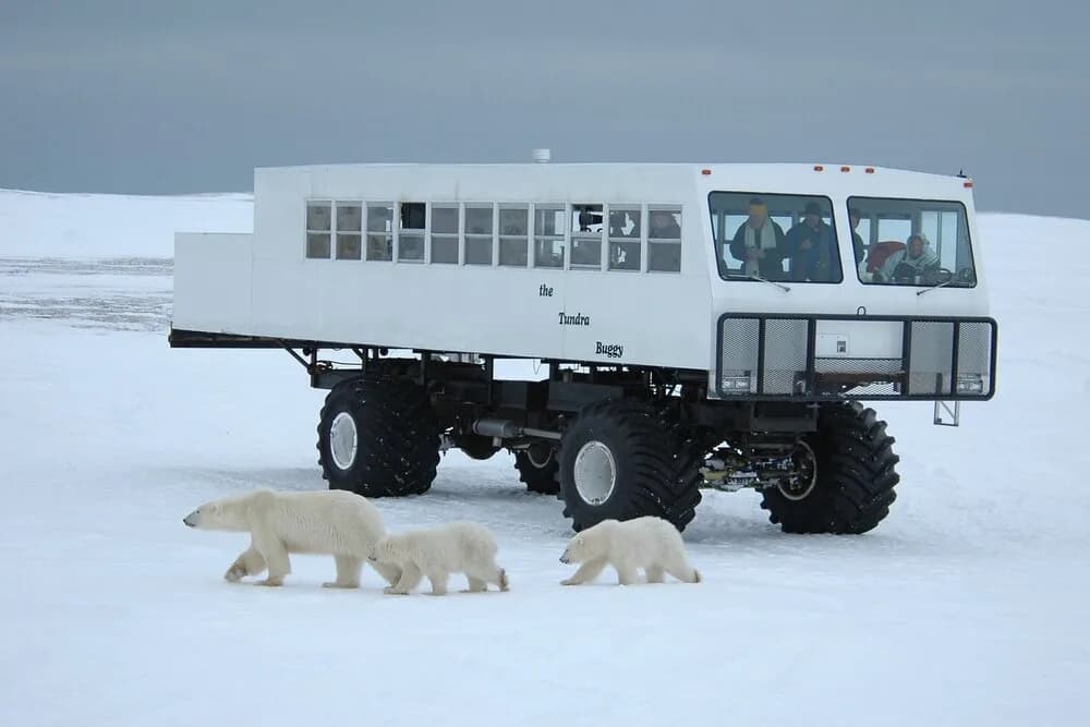 7 Remote Places You Can Visit with Miles & Points