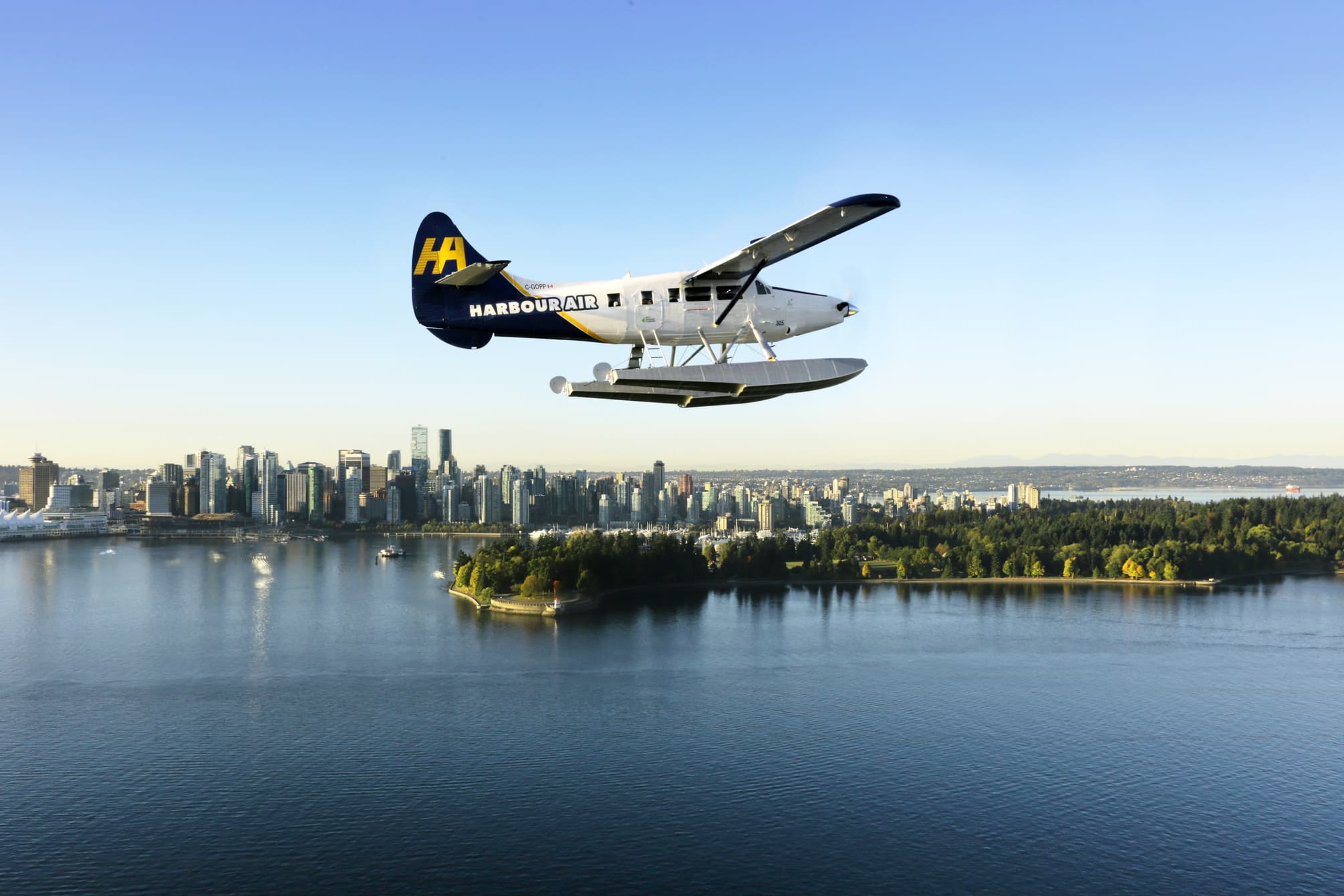 Otter with Vancouver skyline