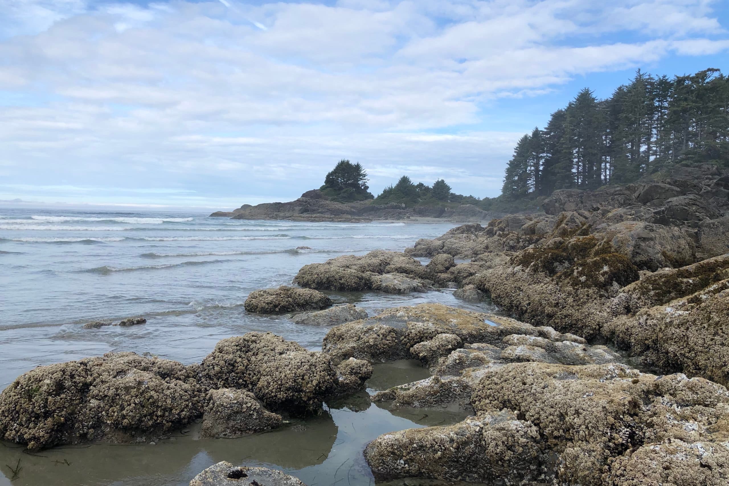 Summer Travel in Canada 2025: Exploring the West Coast with Kids