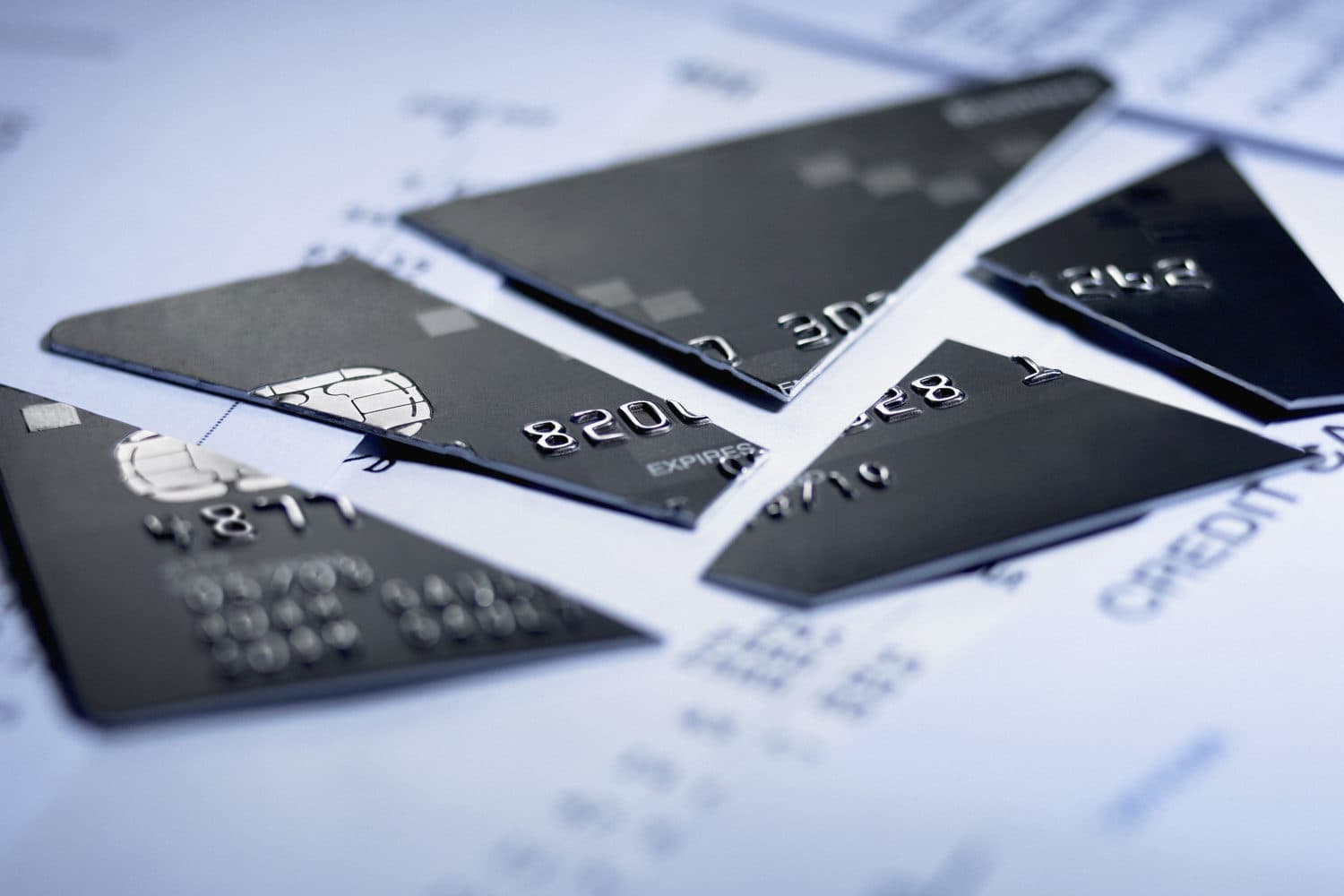 Close up of cut pieces of credit card