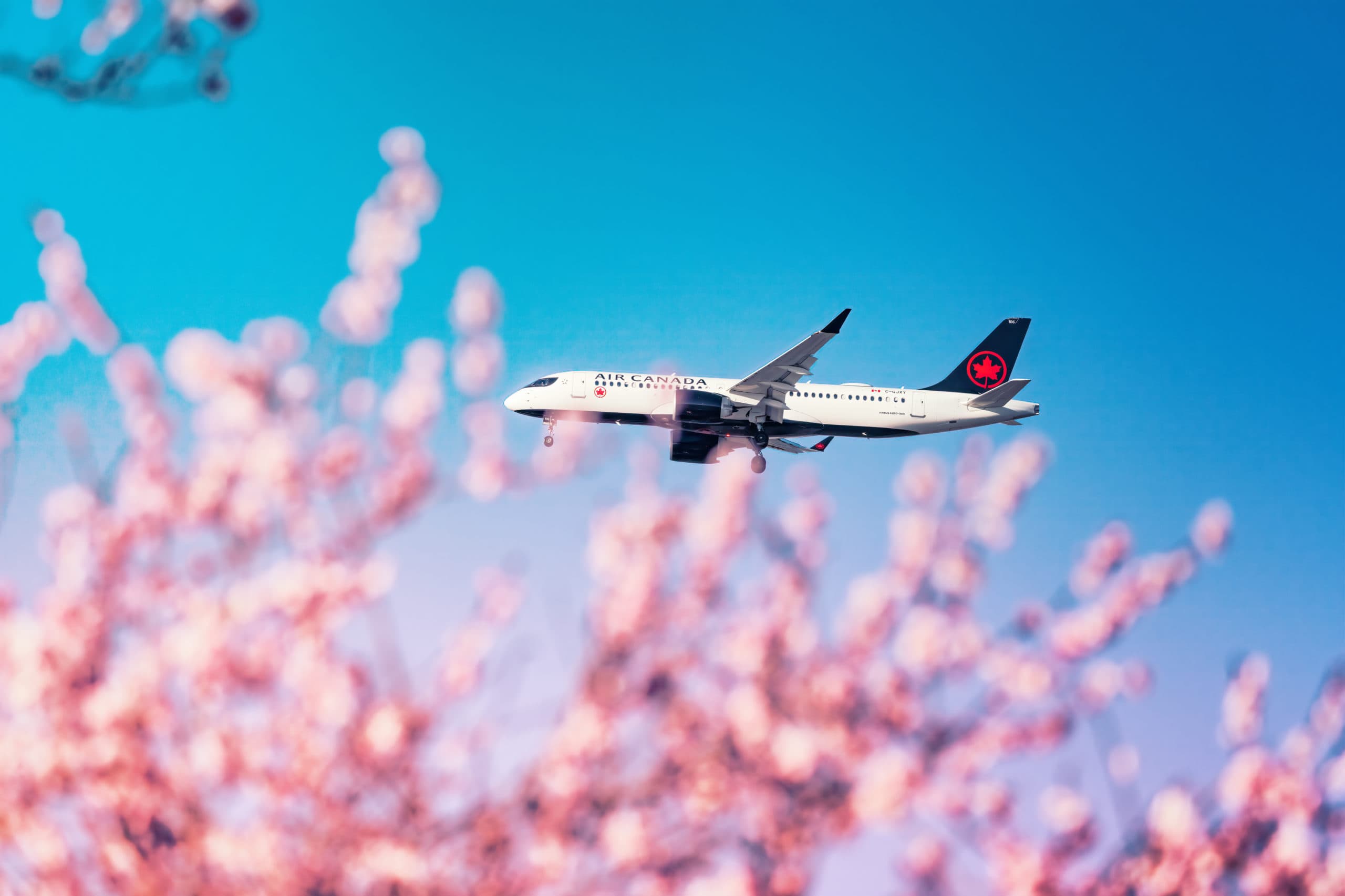 New Aeroplan: The Aftermath, Six Months Later