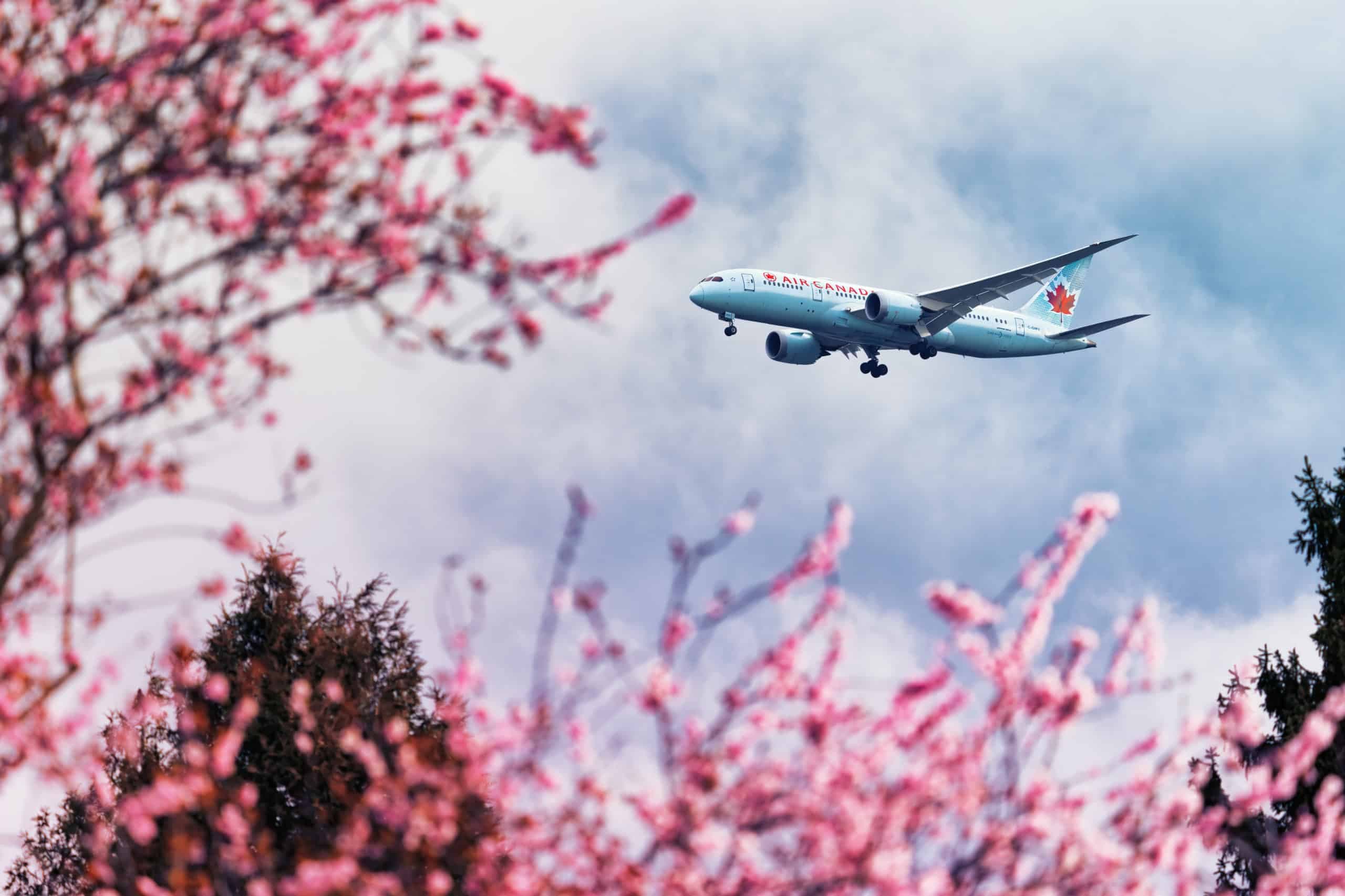 Air Canada Will Restart Vancouver–Osaka Route (New Aeroplan Sweet Spot!)