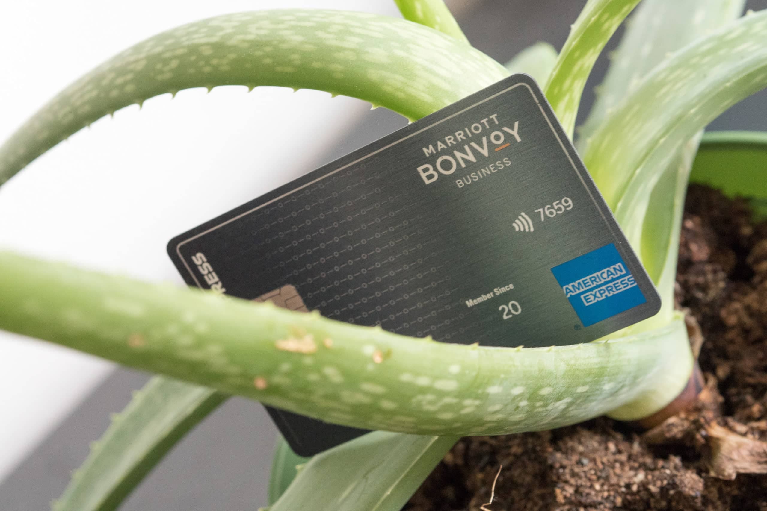 New Benefits on the Marriott Bonvoy Business® American Express® Card