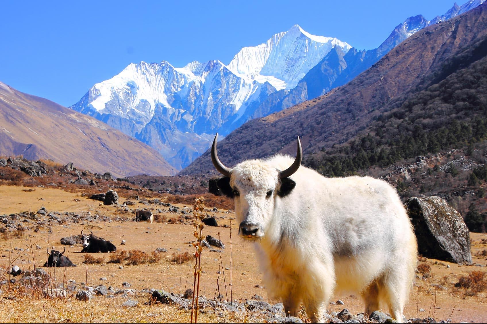 Booked: Into the Mountains and Down to the Ocean