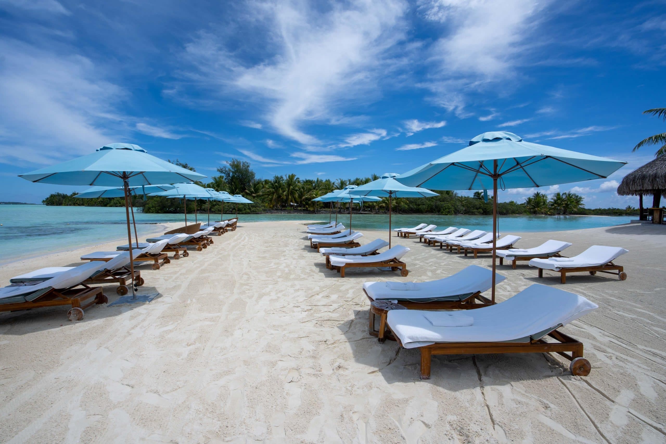 Review: CIBC Aventura® Visa Infinite* Card