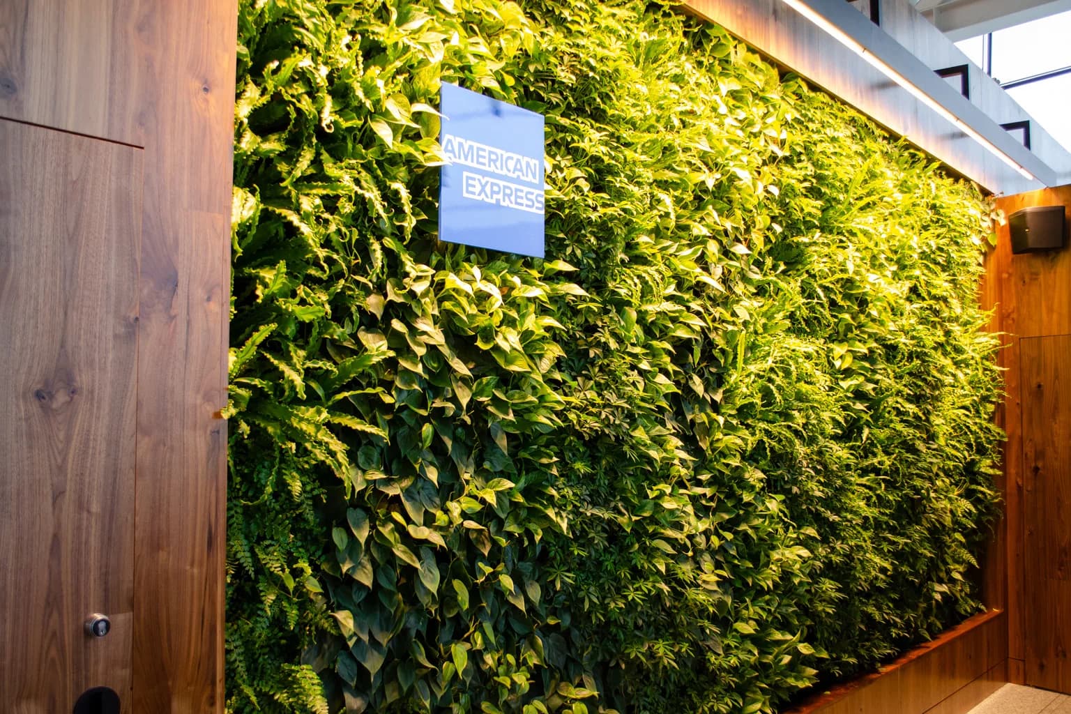 How Does Lounge Access on the American Express Platinum Cards Work?