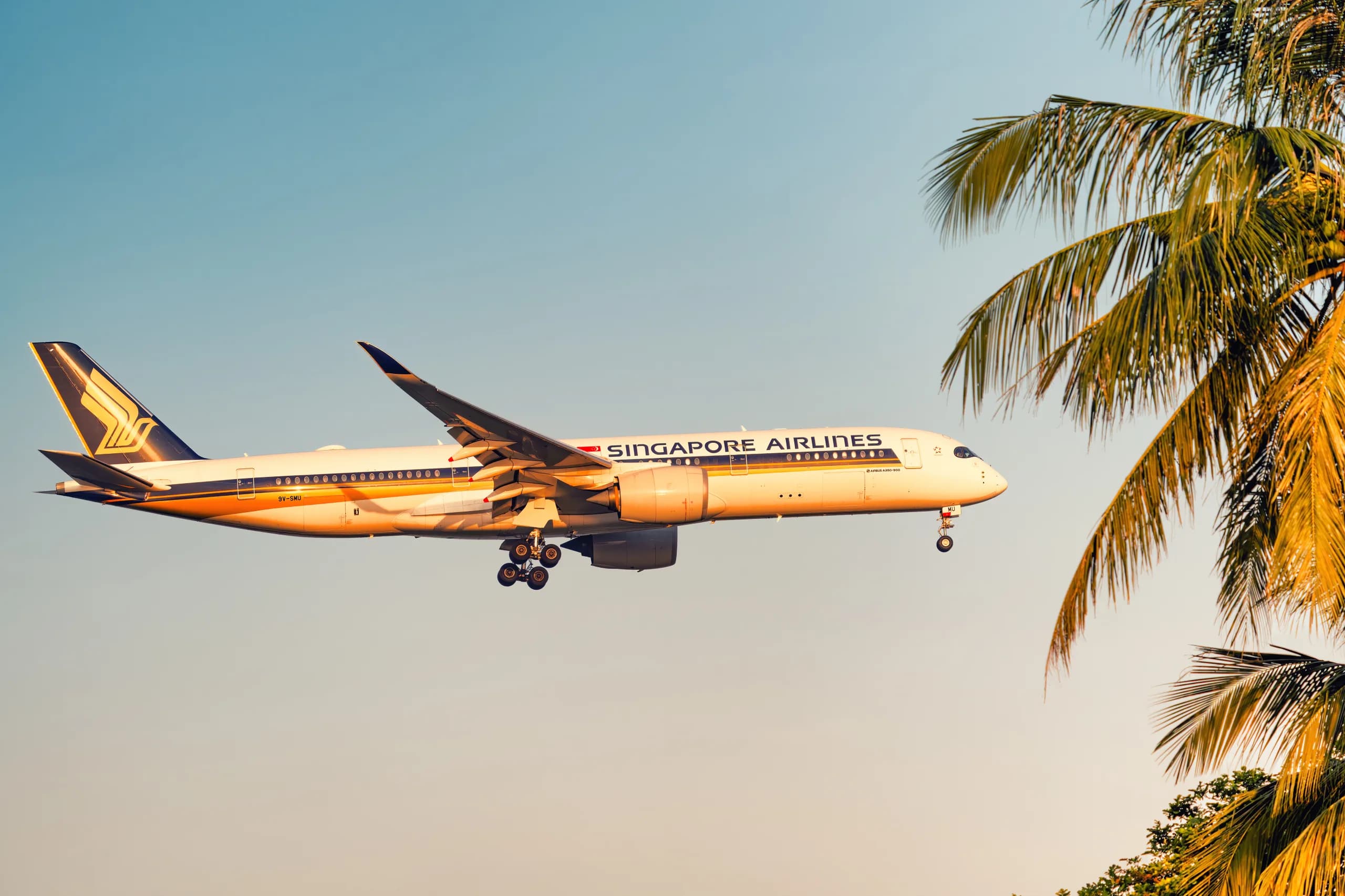 How I Earned Star Alliance Gold with Marriott Bonvoy Status and a Round-Trip Flight