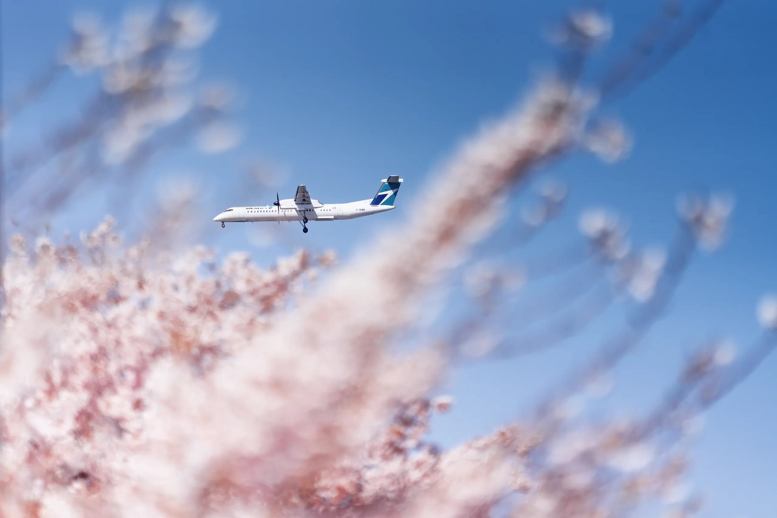 Analyzing WestJet’s Other ATC Fees on Companion Voucher Bookings