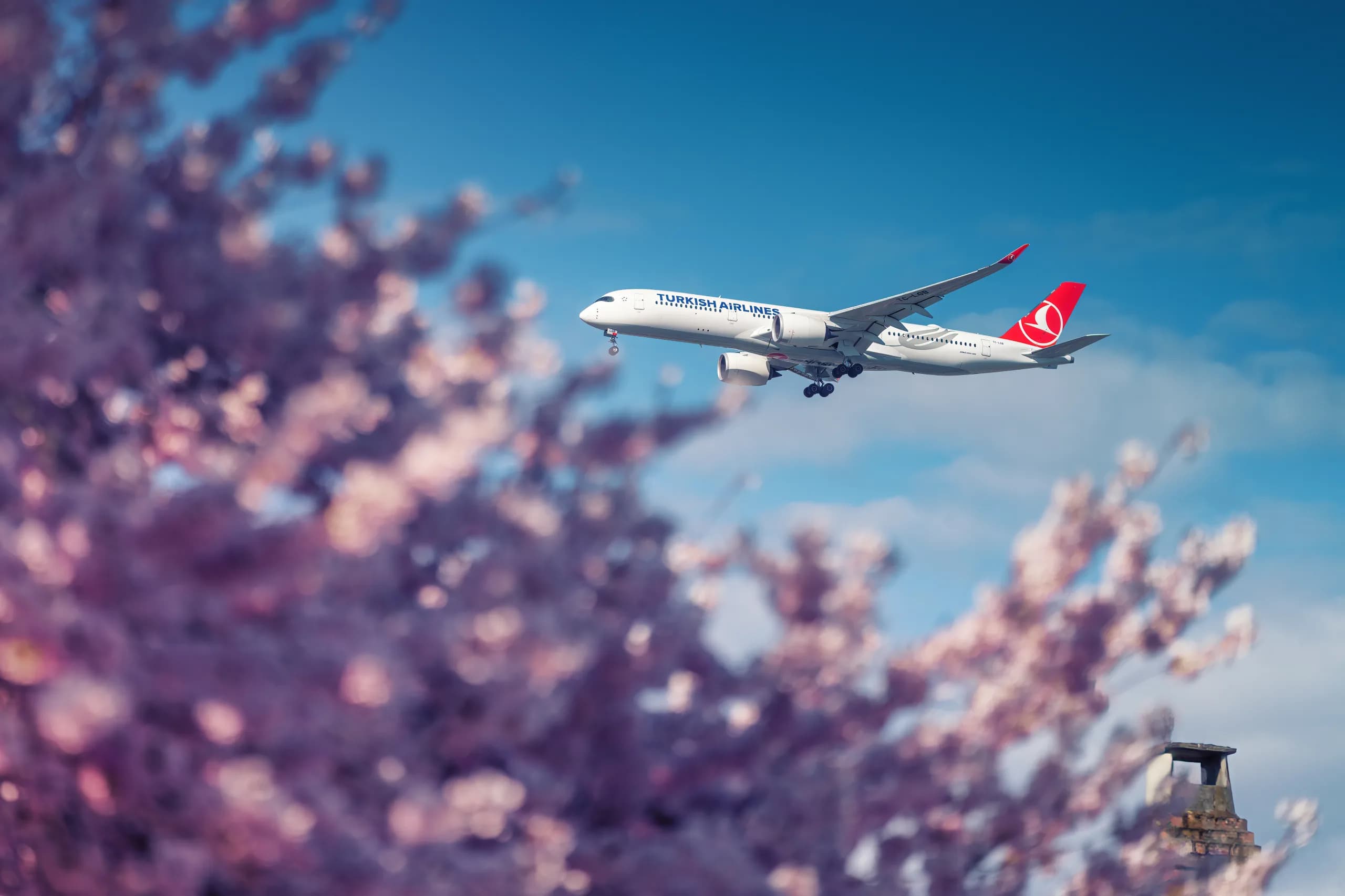 Turkish Airlines Launches New Istanbul–Sydney Route