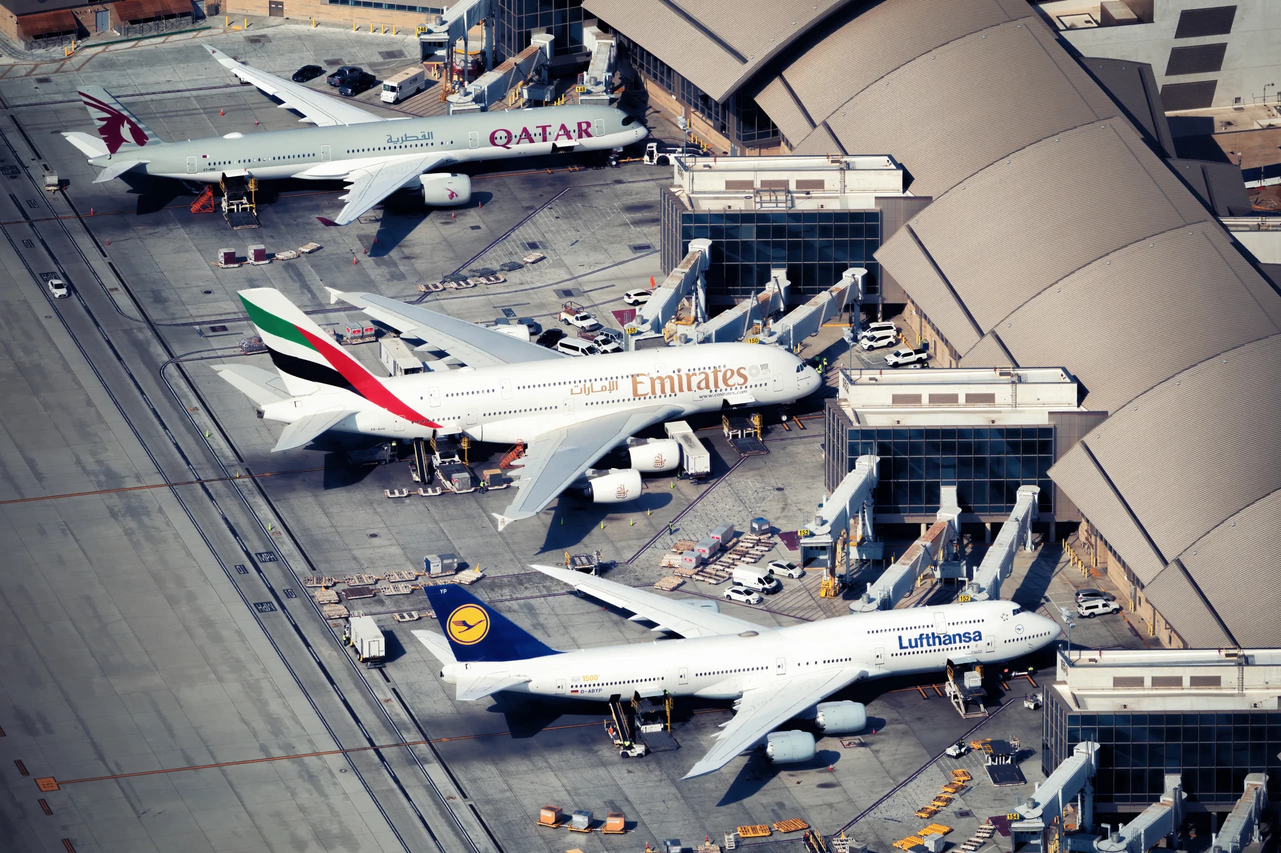 How to Use Roame Like a Pro