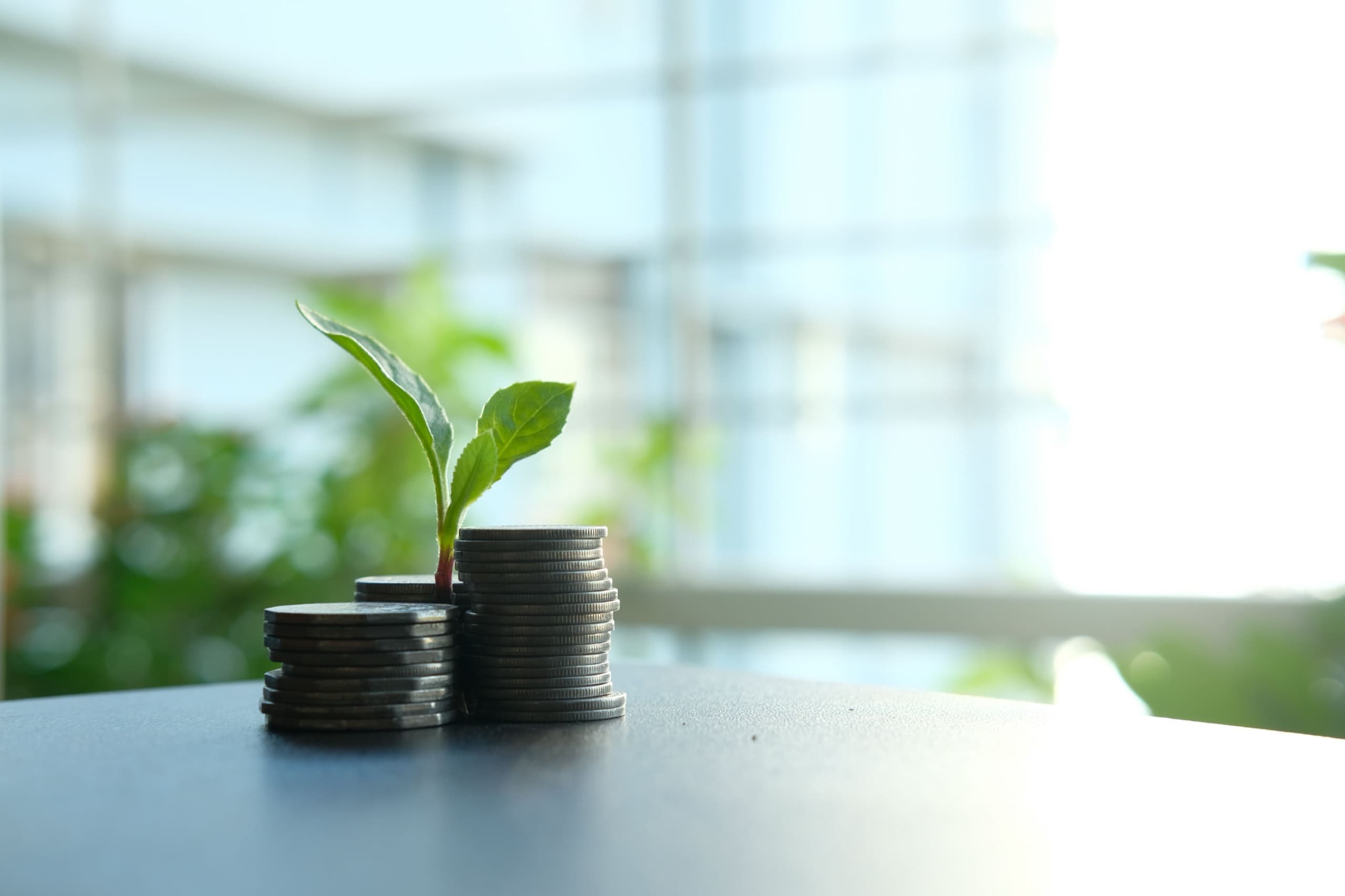 Coin stacks with a small plant sprouting, symbolizing investment growth