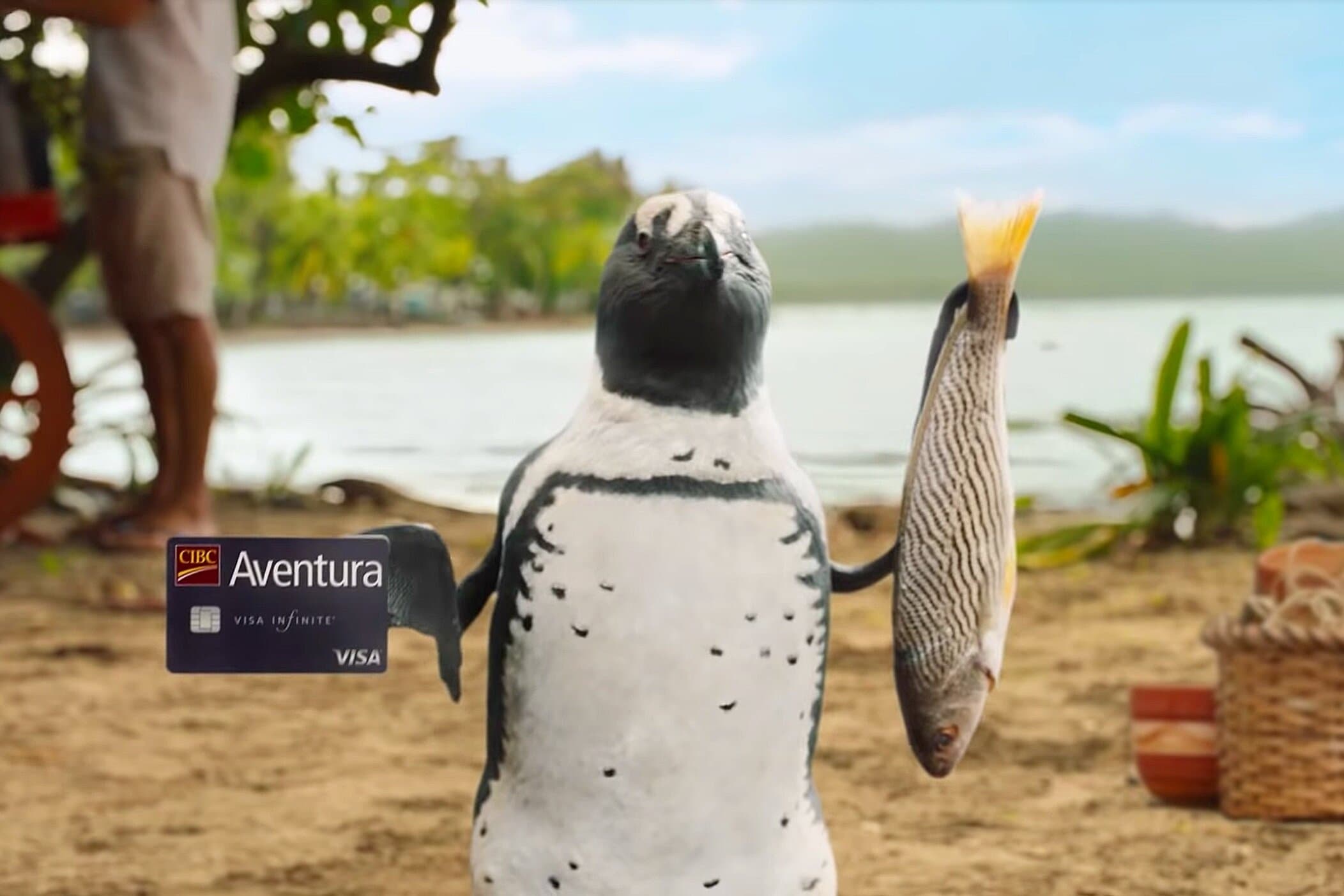 Screen2BShot2B2019 12 132Bat2B12.45.282BPM