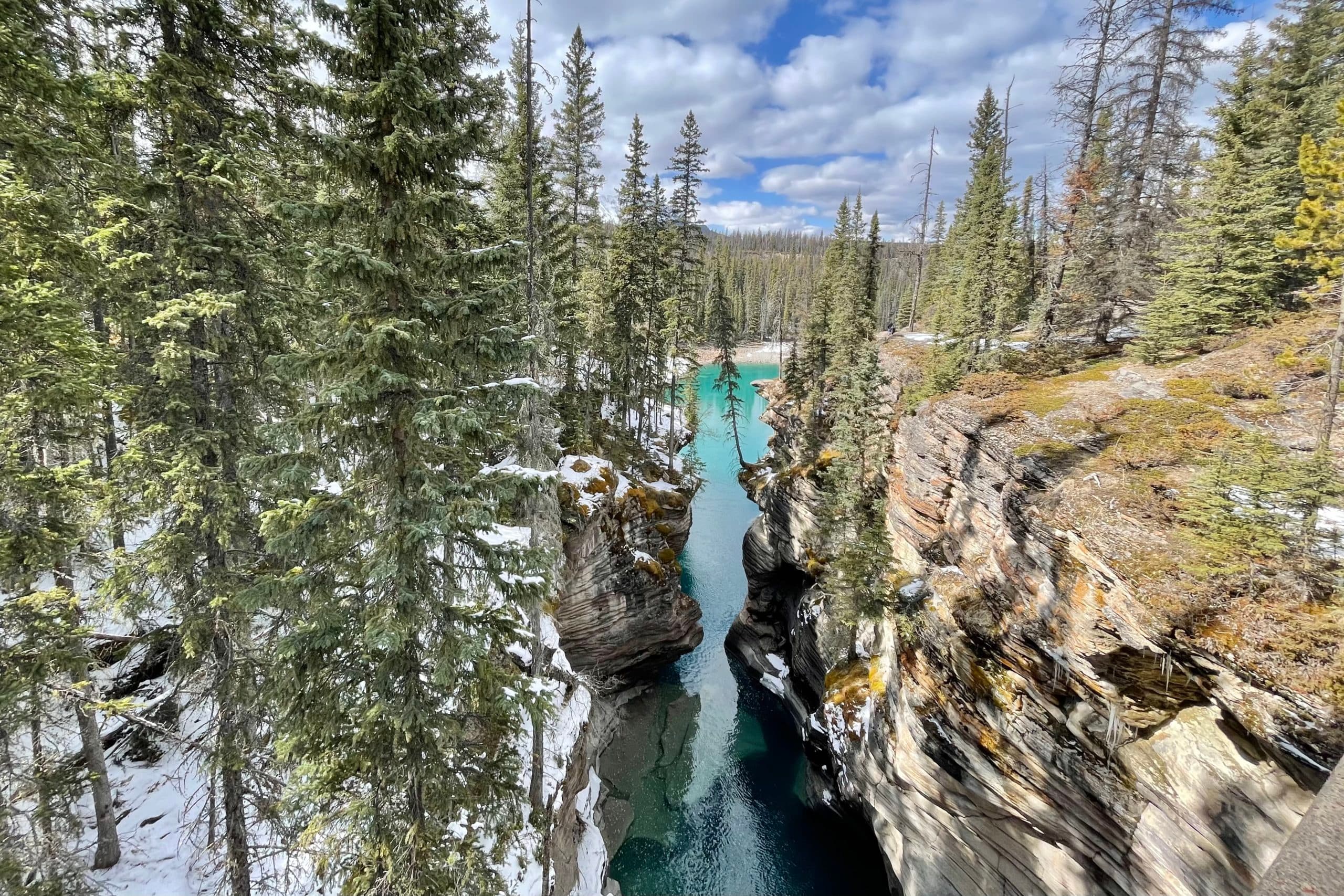 Summer Travel in Canada: Stunning Alberta, Part 1