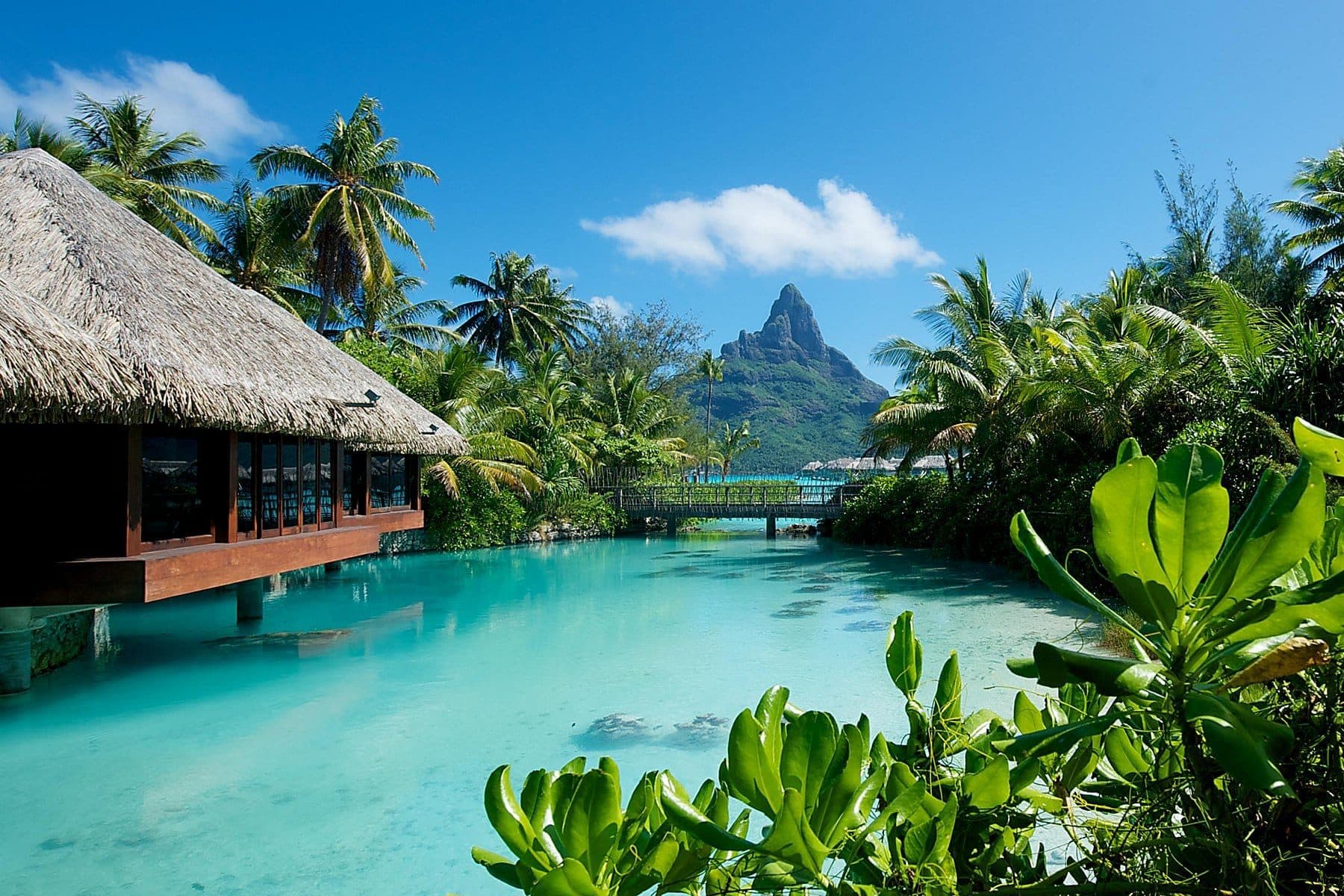 The Complete Guide to IHG Destined