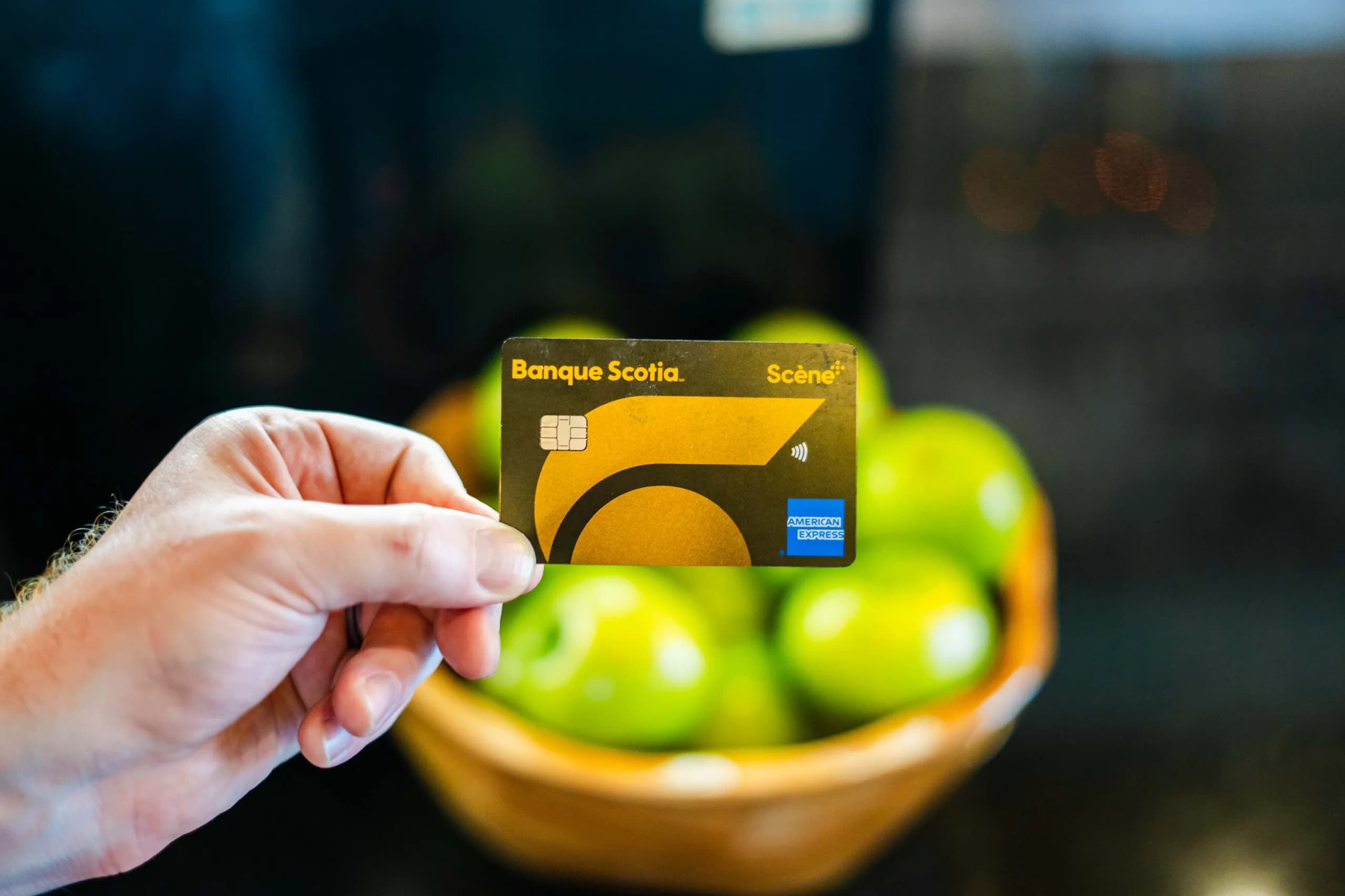 Scotiabank Scene+ Credit Card Offers: Earn Up to 100,000 Points!