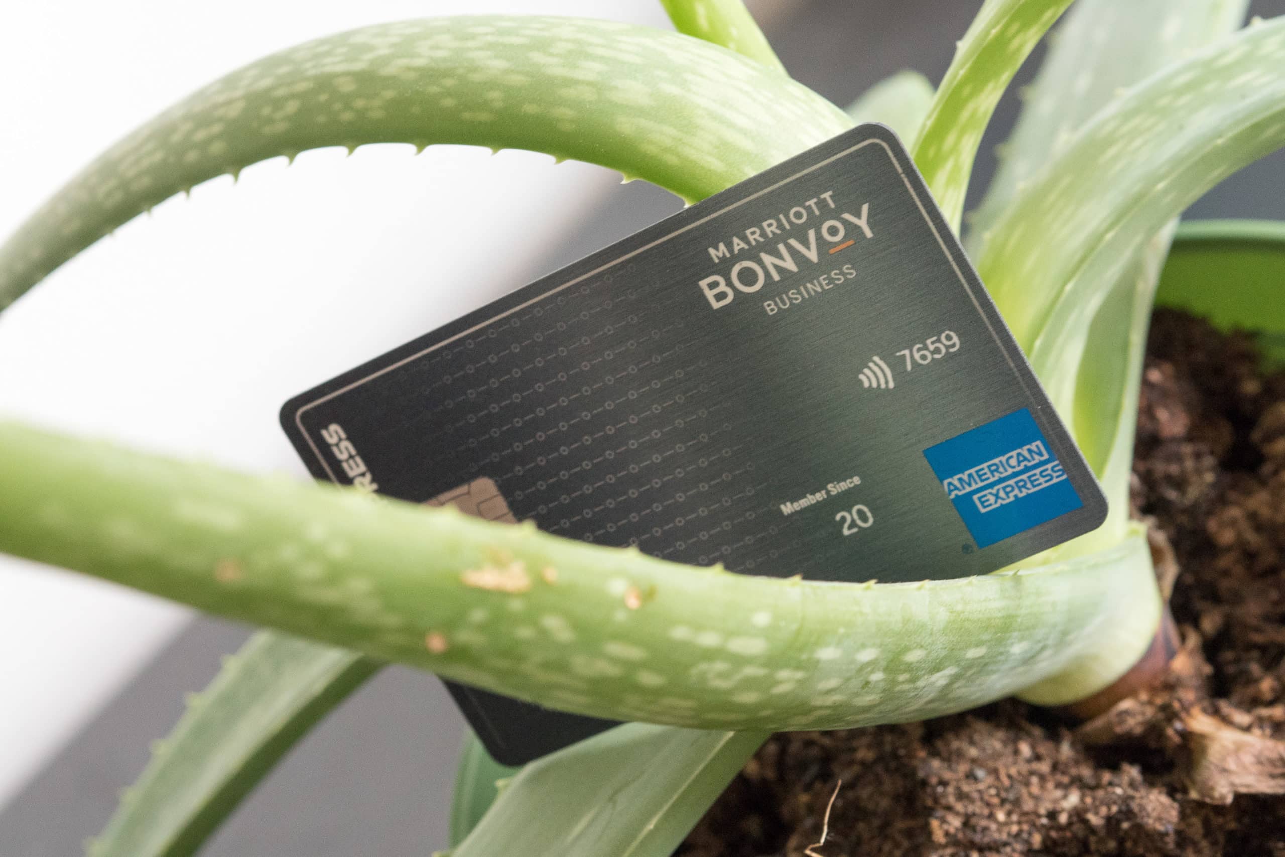 Amex Bonvoy Business Card Benefits