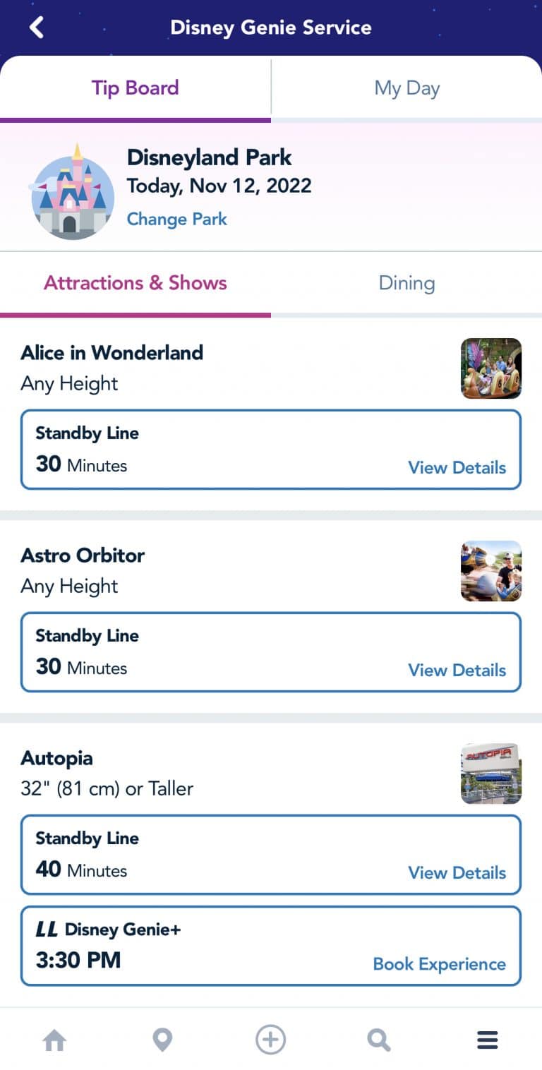 How to Maximize a Trip to Disneyland Prince of Travel