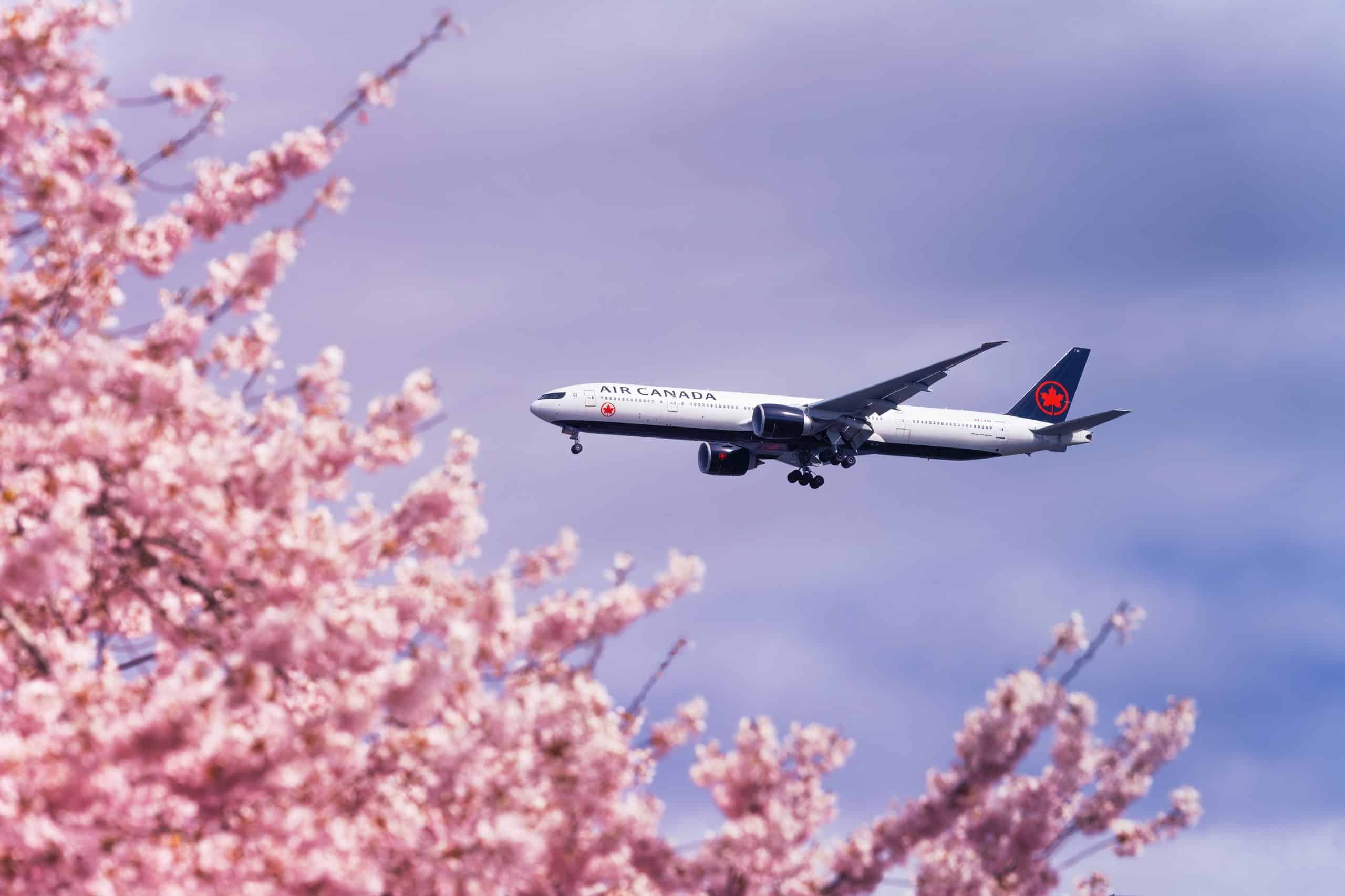 How to Choose the Right Air Canada Fare