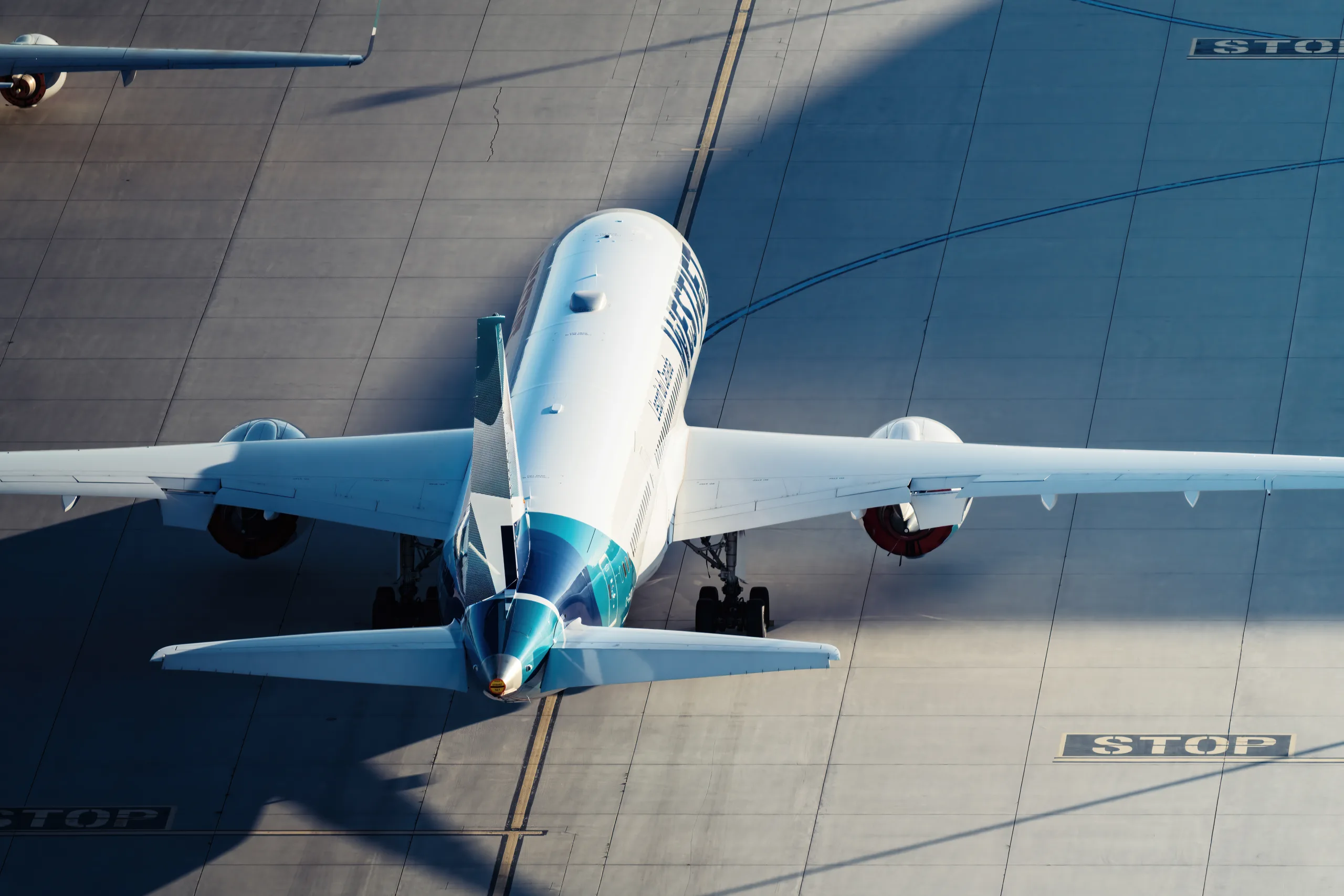 Westjet checked online baggage